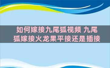 如何嫁接九尾狐视频 九尾狐嫁接火龙果平接还是插接